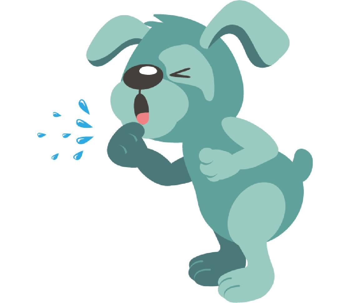 petsXL Oskar has a cough