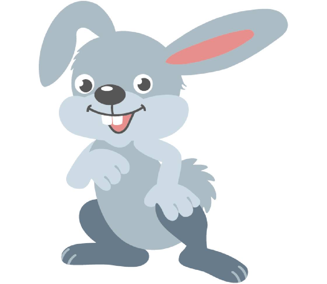 petsXL Rabbits