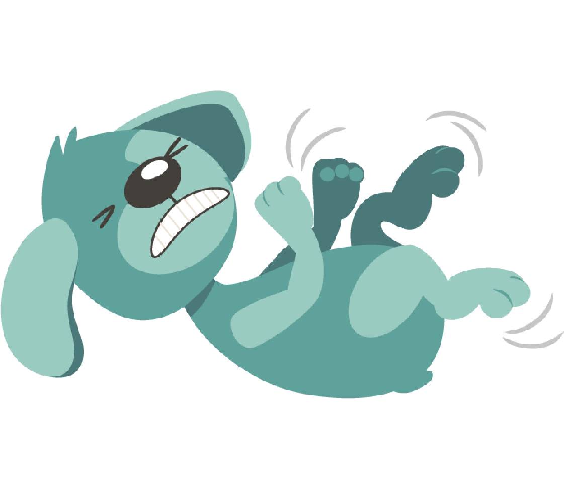 petsXL Oskar has a seizure