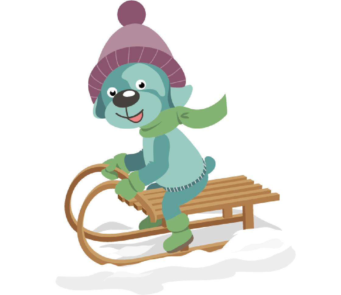 petsXL Oskar mit Schlitten