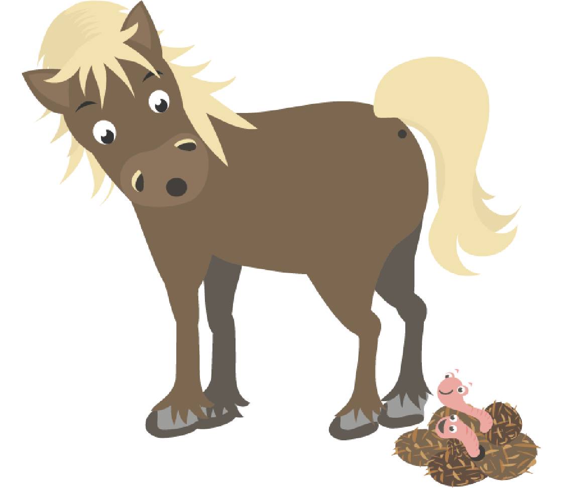 Pferd mit Würmern 
