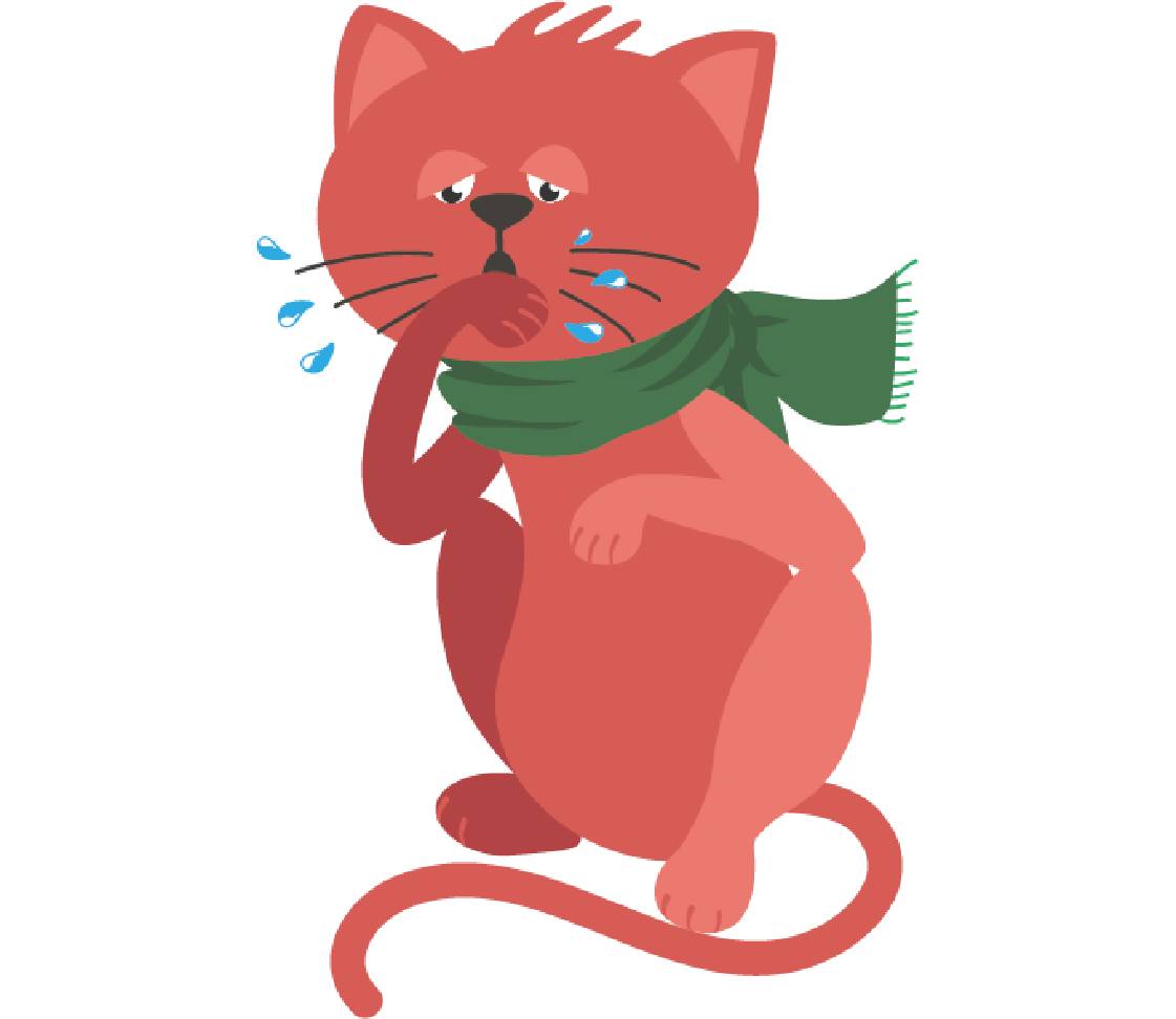 Cat with breathing difficulties