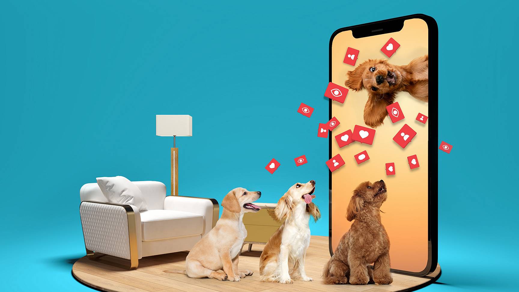 Wohnzimmer drei Hunde Smartphone mit Likes und Klicks