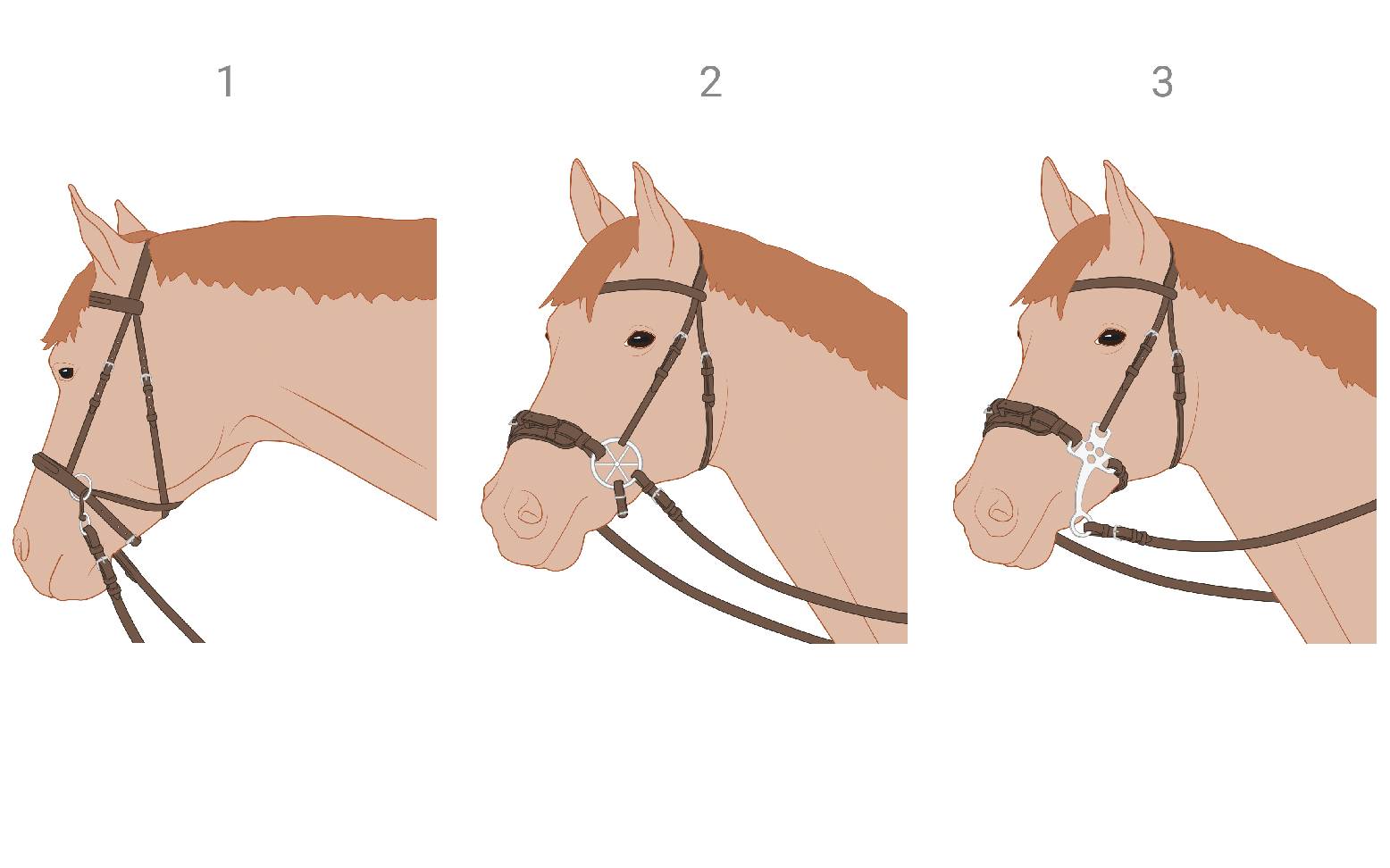 Gebisslose Zäumungen