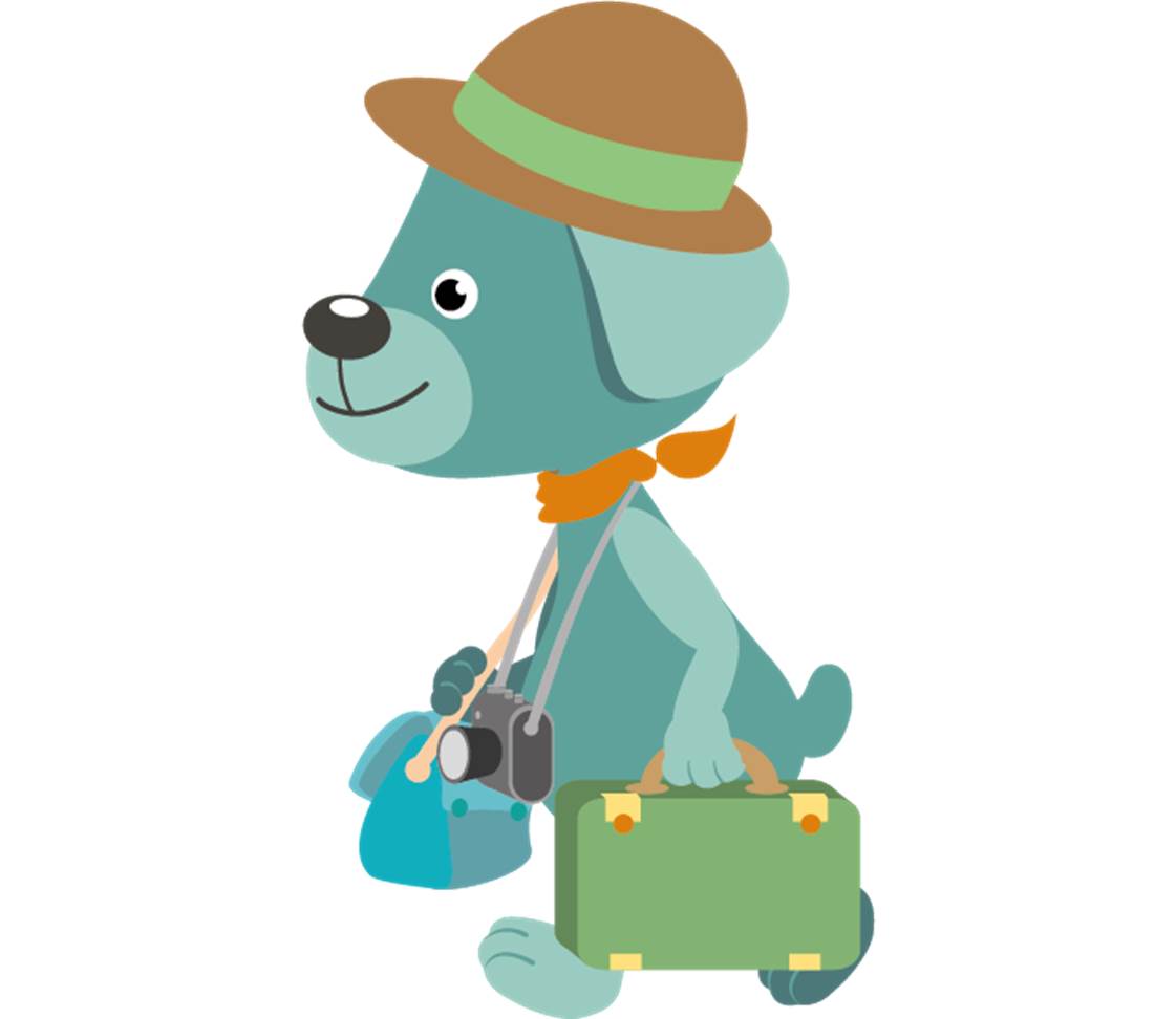 petsXL Oskar on his travels