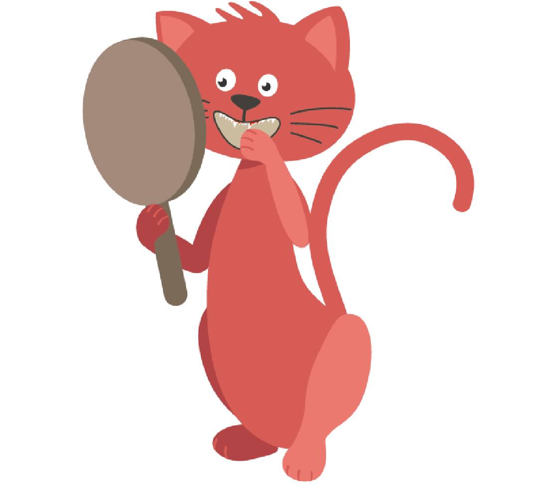 petsXL Minka with mirror and gingivitis