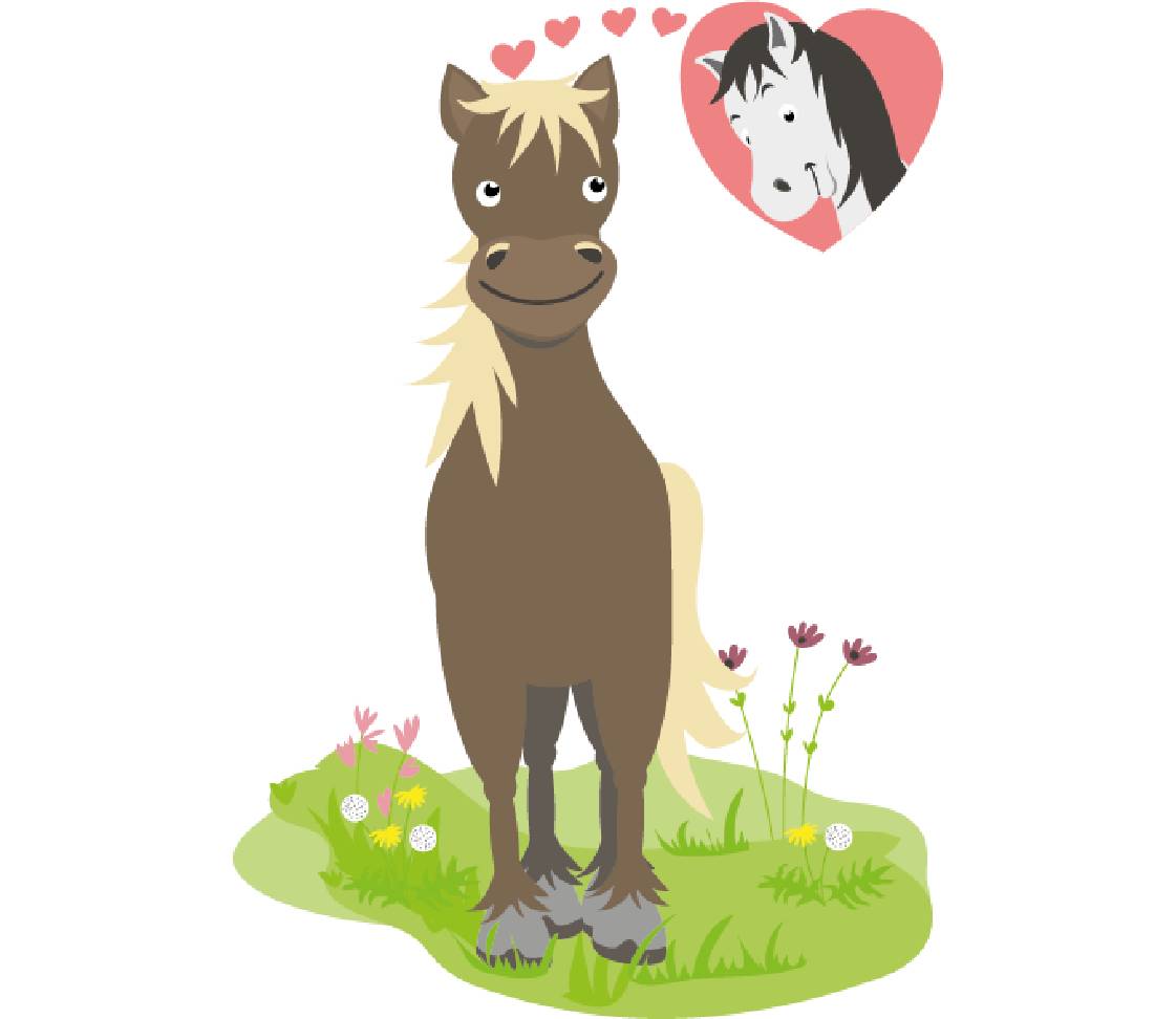 petsXL Sunny in love