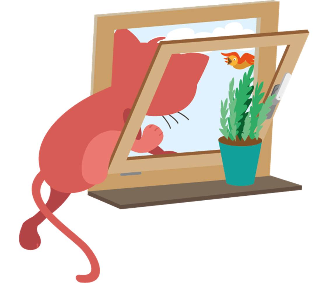 Cat with tilted window
