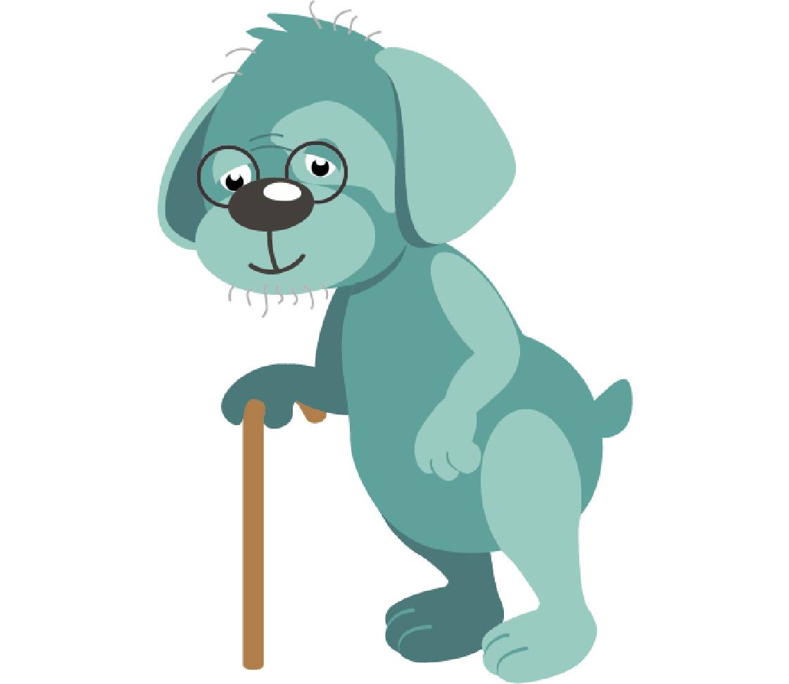 petsXL Oskar mit Gehhilfe