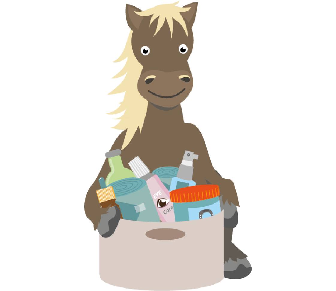 petsXL Sunny with first aid kit