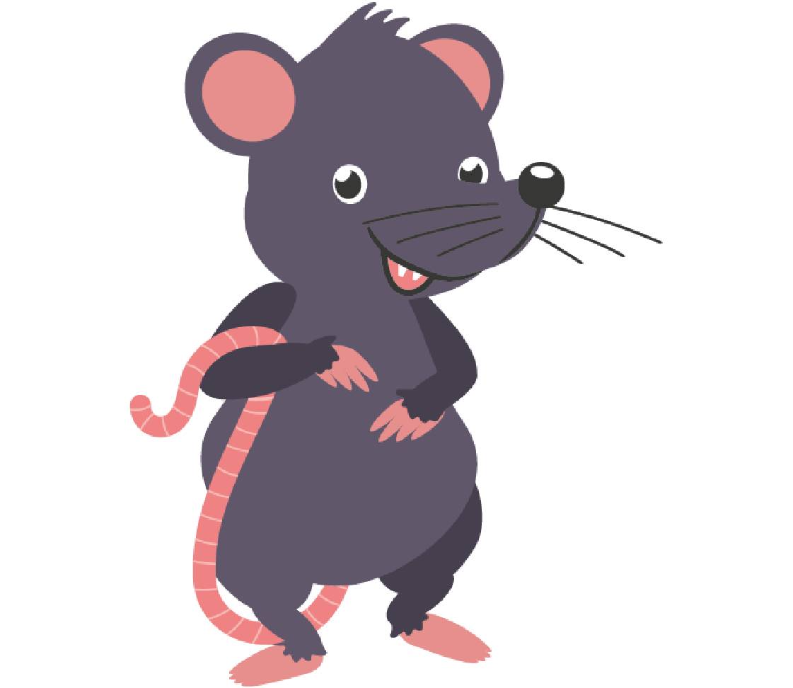 petsXL Ratte
