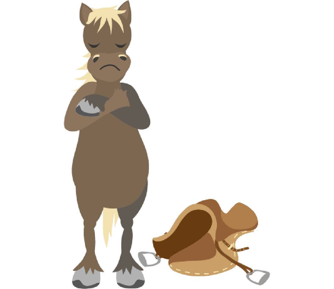 petsXL Sunny with saddle next to it