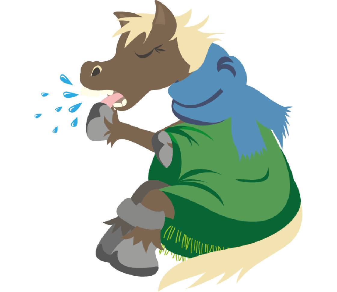 Pferd mit Husten