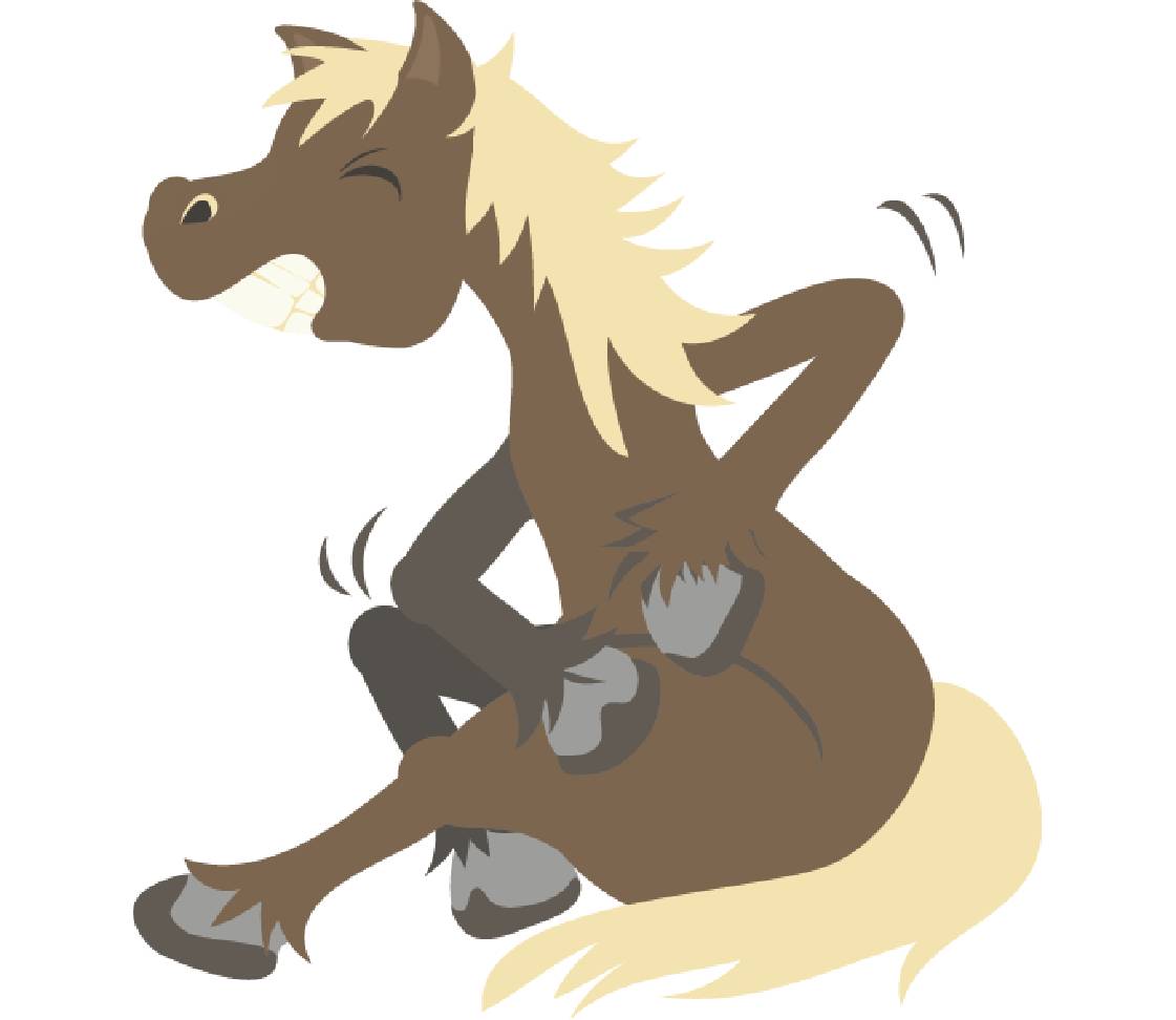 Sunny the horse is scratching herself