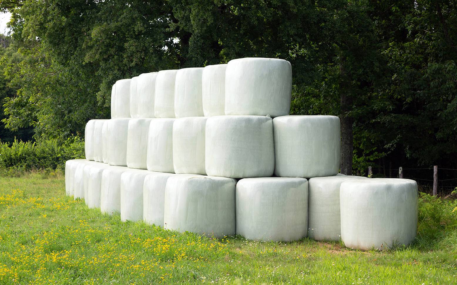 Silage Ballen