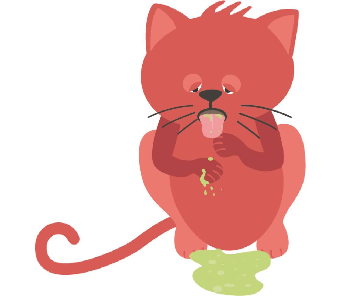 petsXL Minka erbricht sich