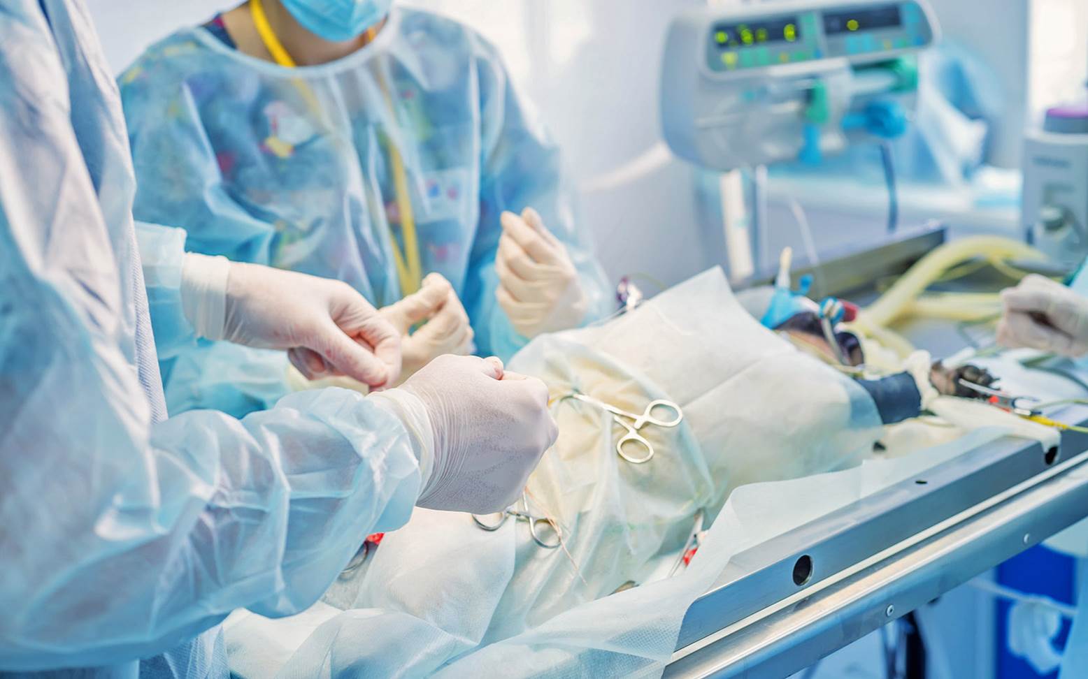 Dog under general anesthesia
