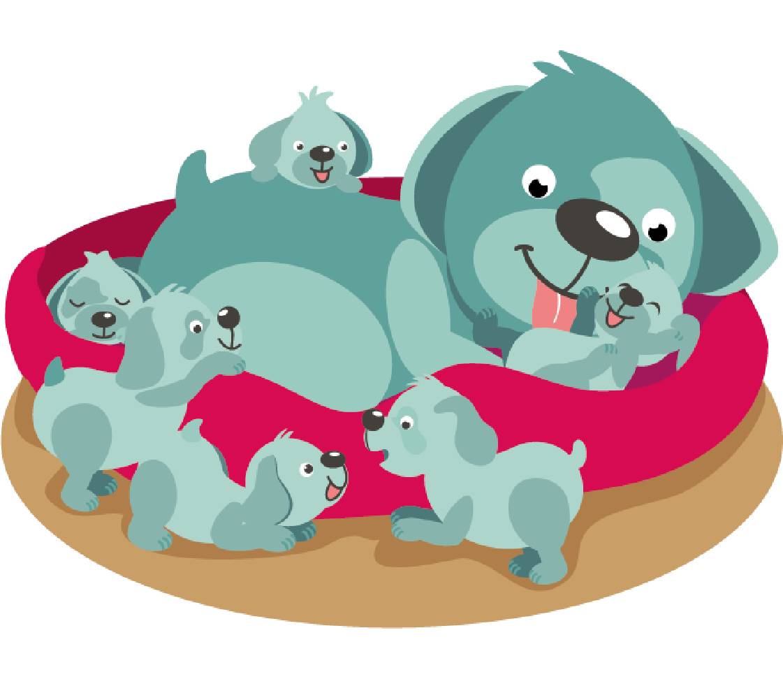 petsXL Oskar mit Welpen