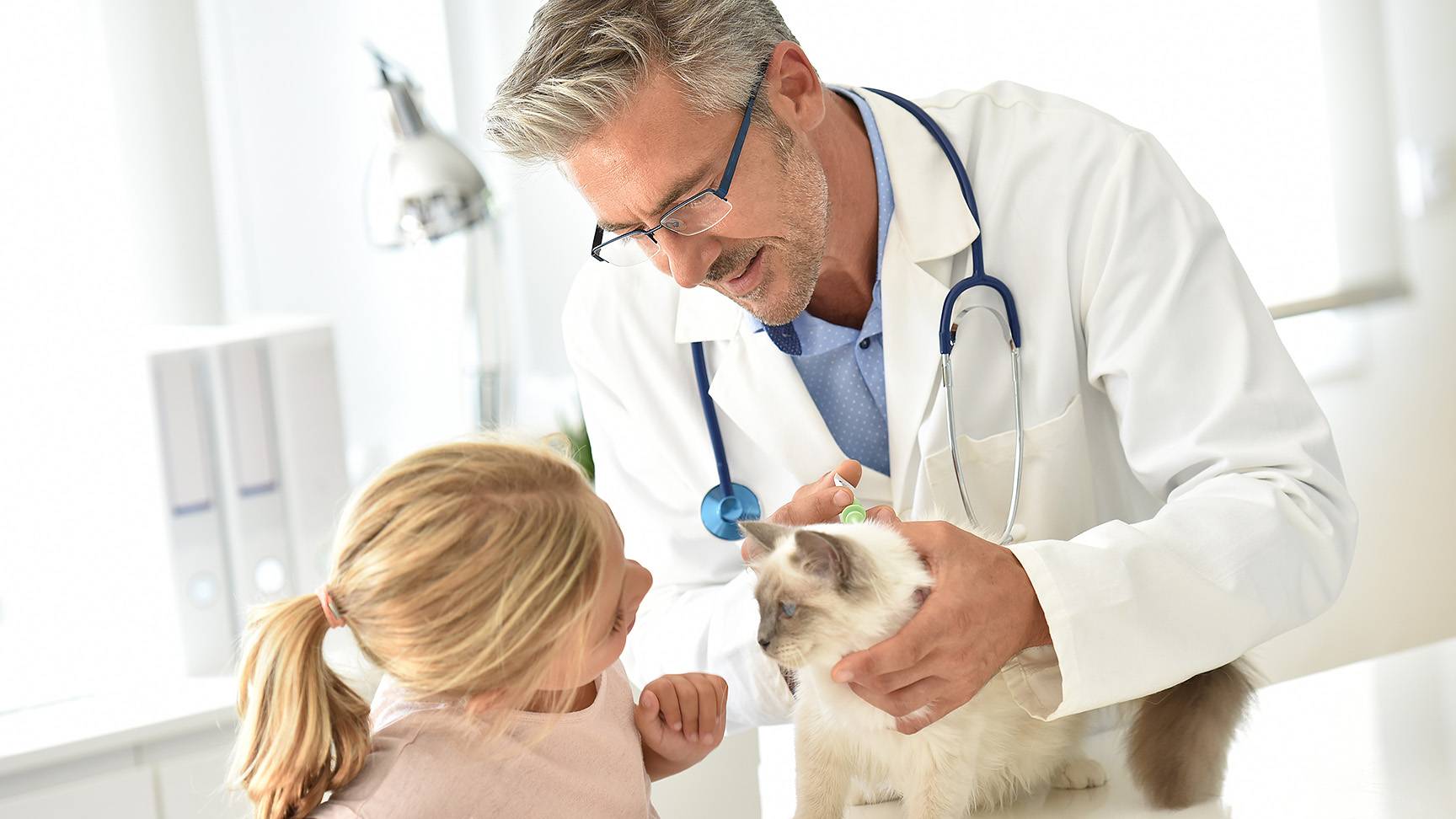 Cat, girl, veterinarian