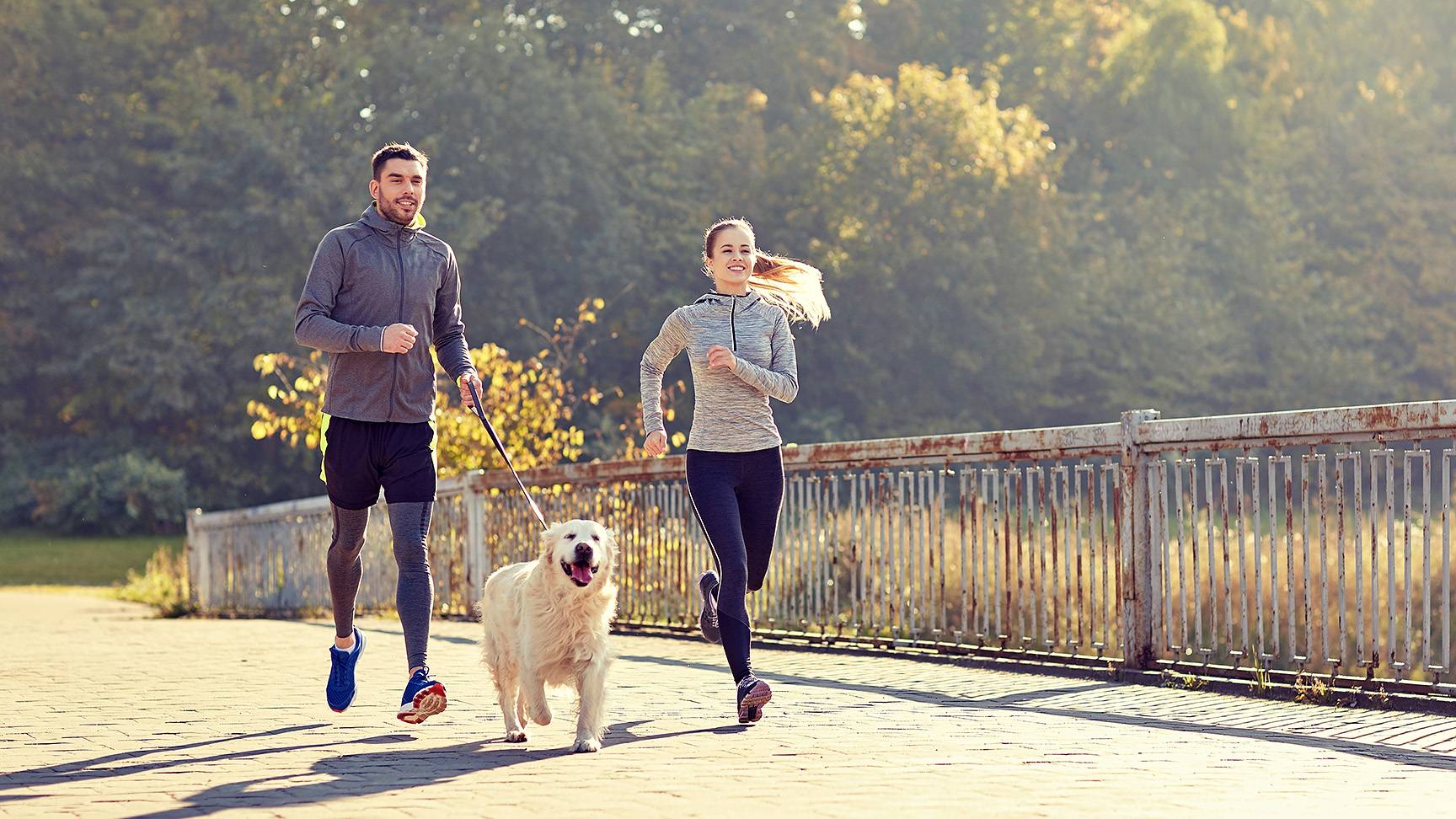 Dog man woman jogging