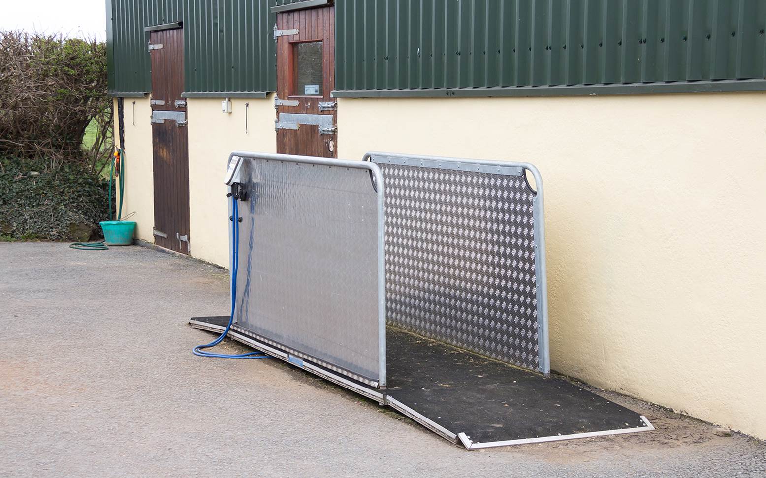 Horse scale