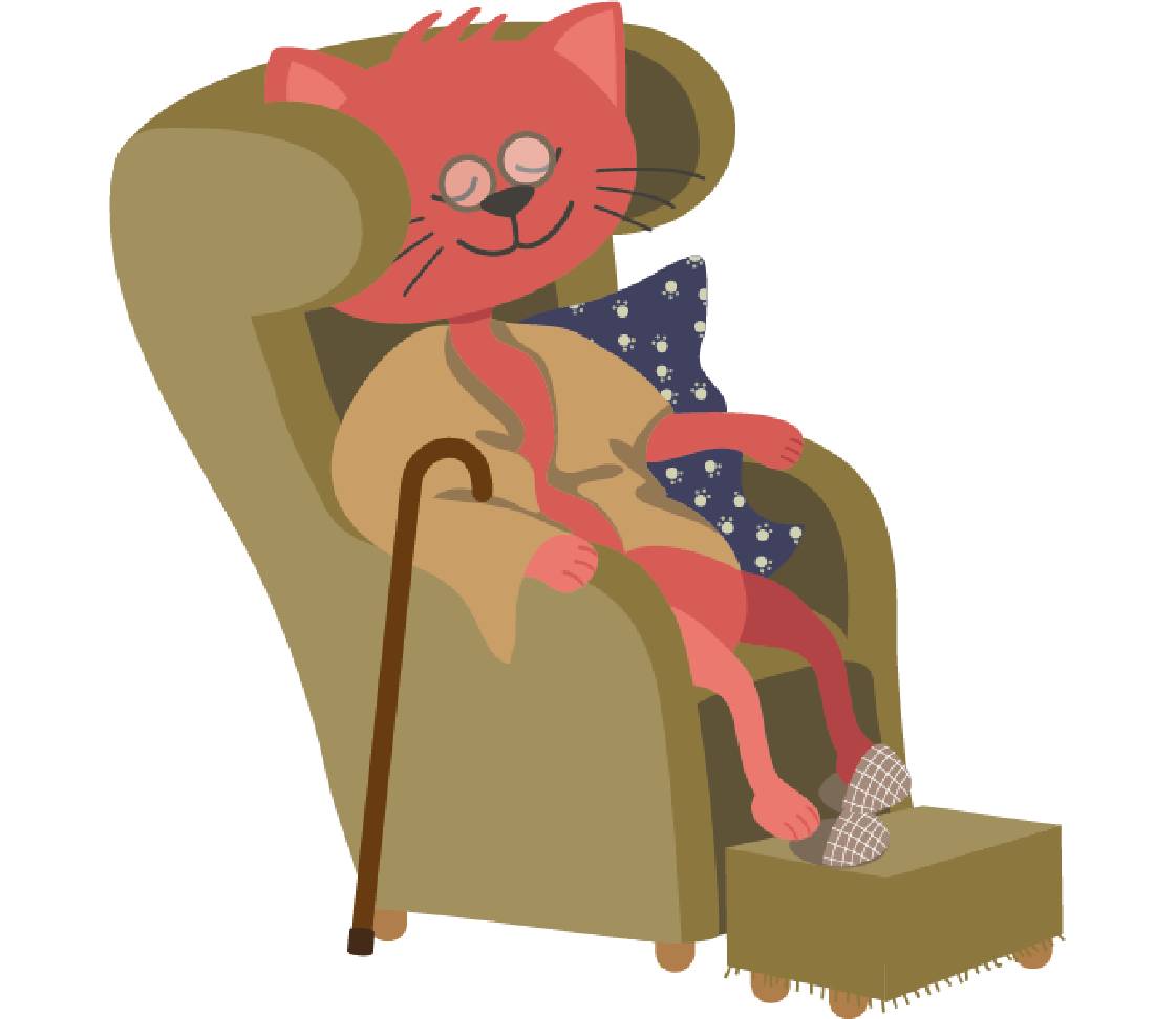 petsXL Minka im Sessel