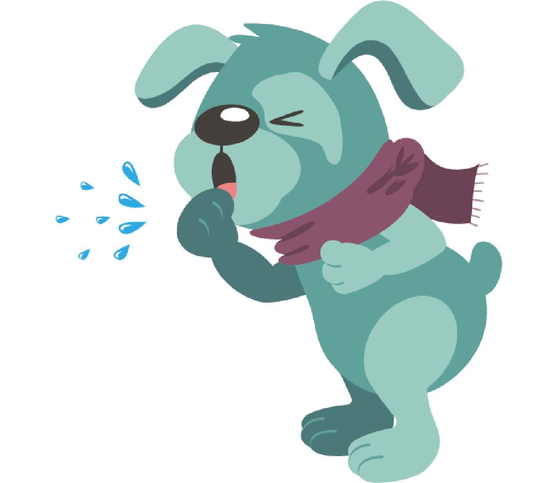 Dog Oskar is coughing