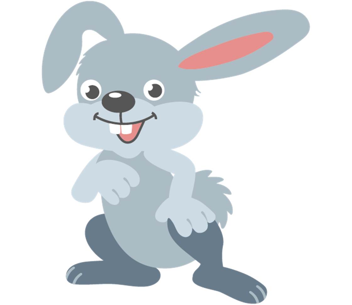 petsXL Rabbits