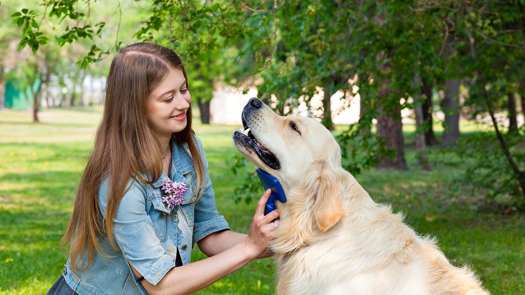 Frau bürstet Hund