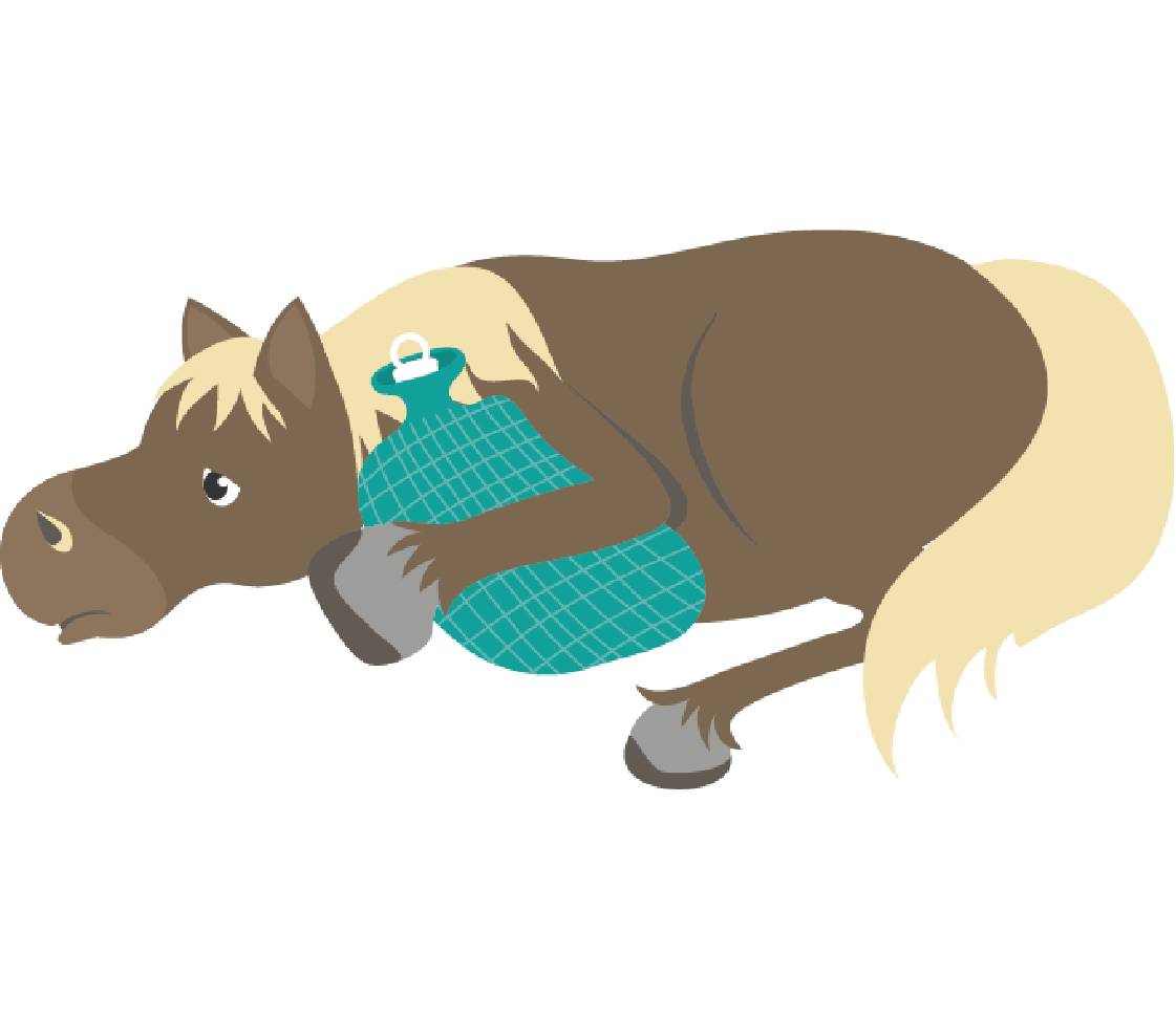 Pferd mit Wärmflasche