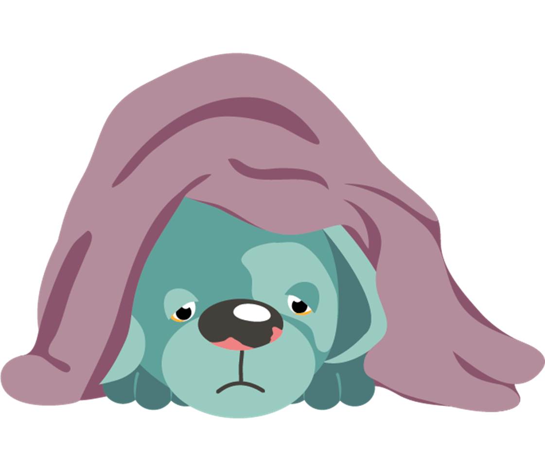 Sick dog