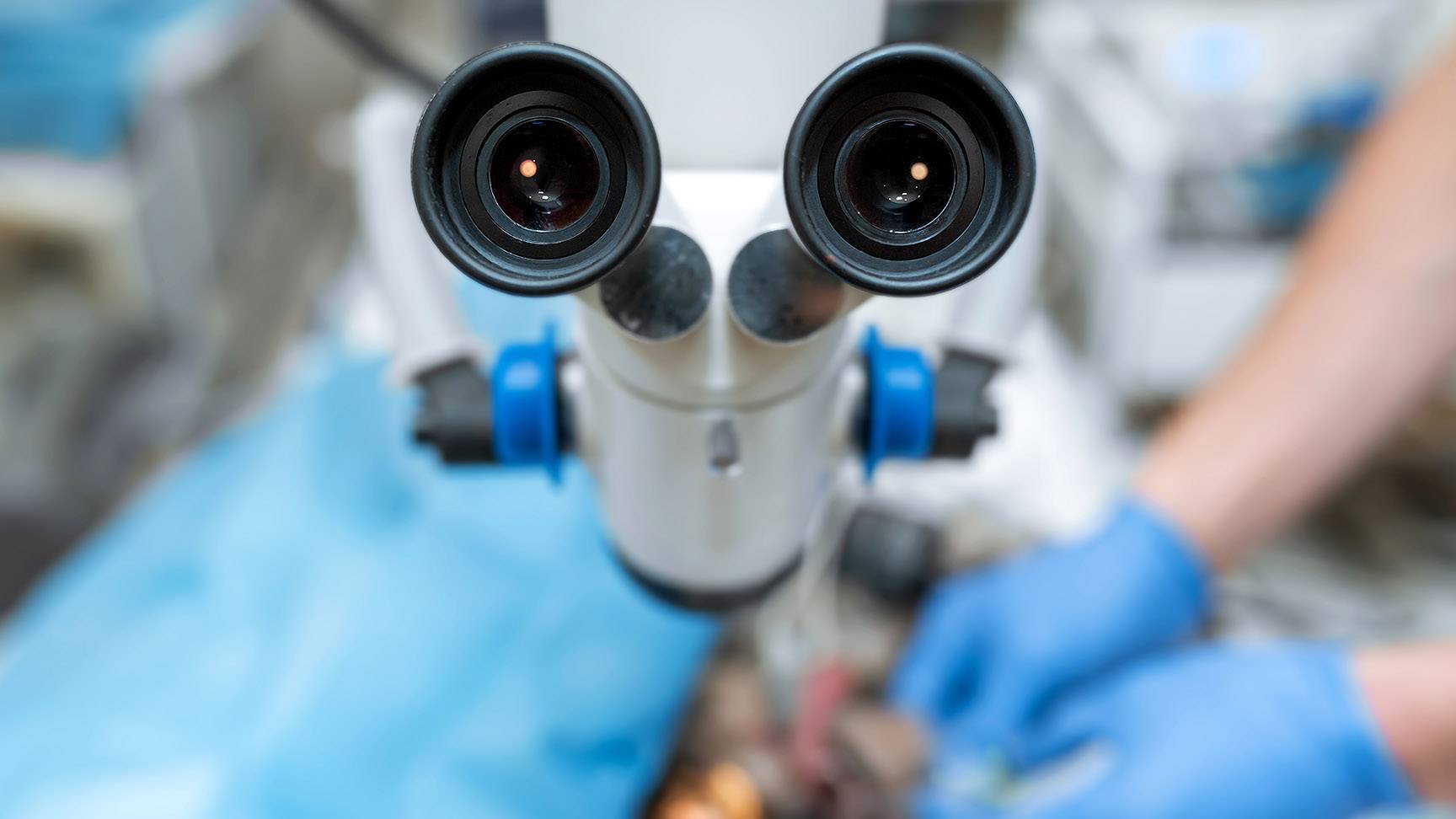 Operationsmikroskop eines Veterinär-Ophthalmologen