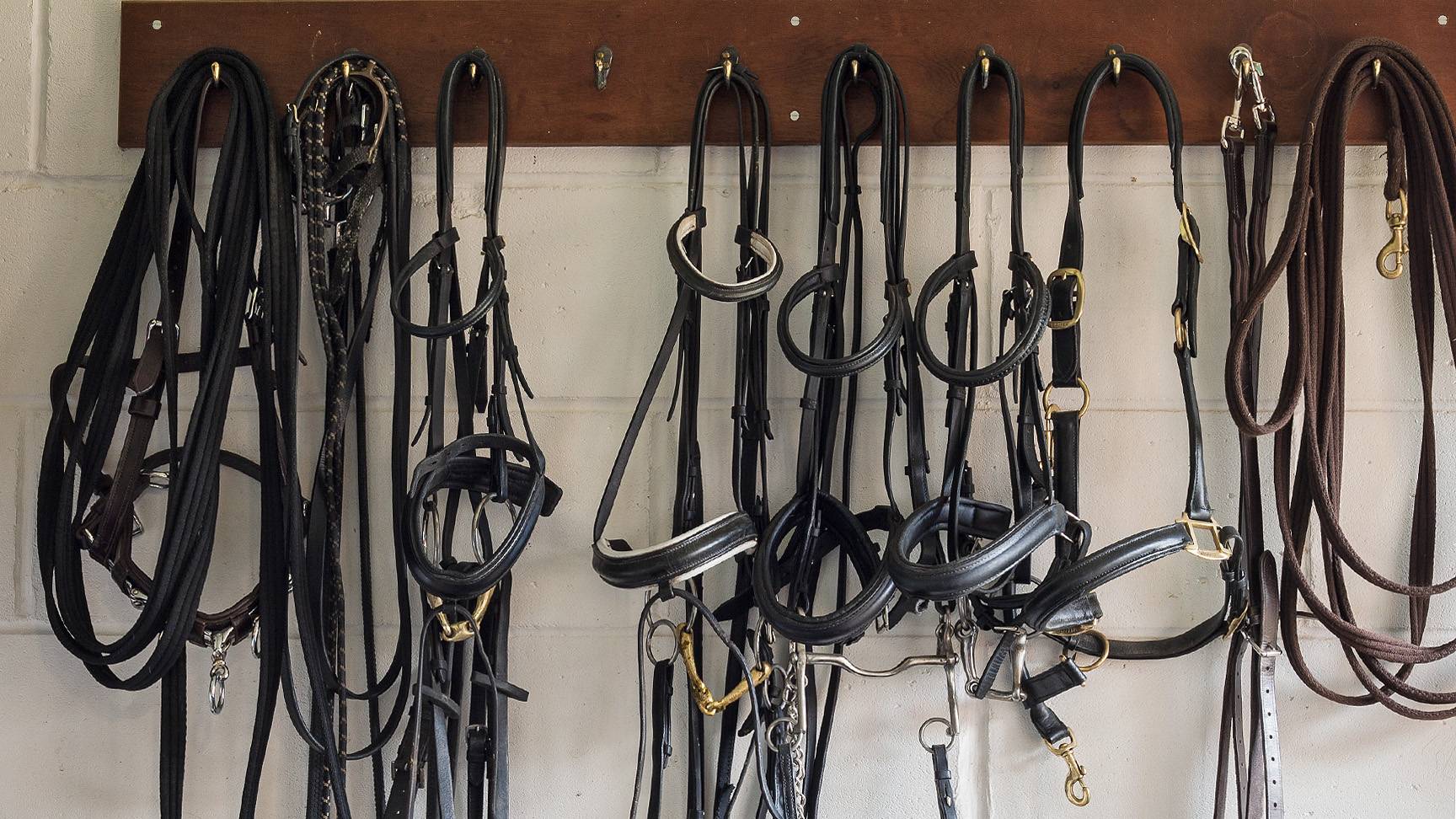 Verschiedene Trensen