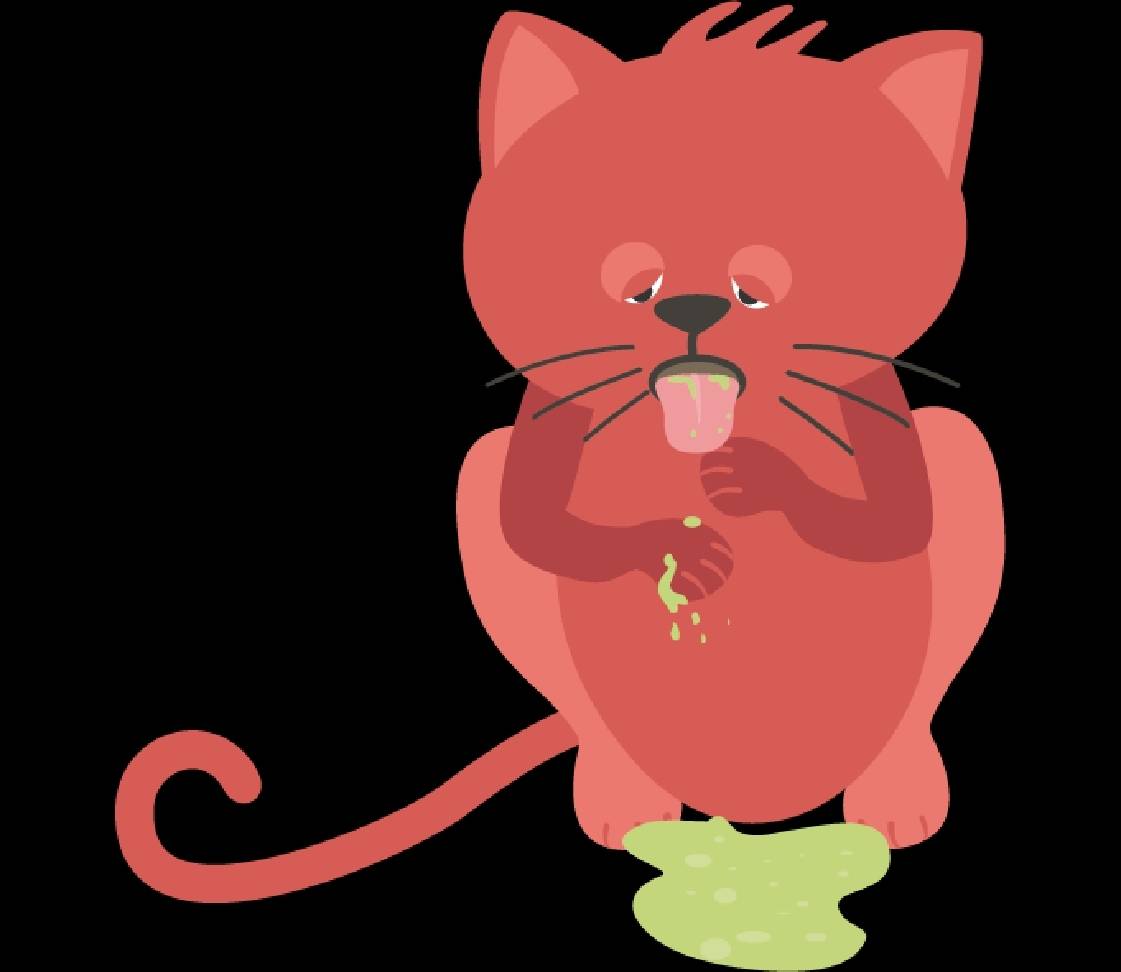 petsXL Minka is vomiting