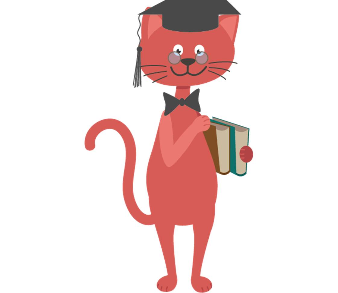 petsXL Minka mit Büchern