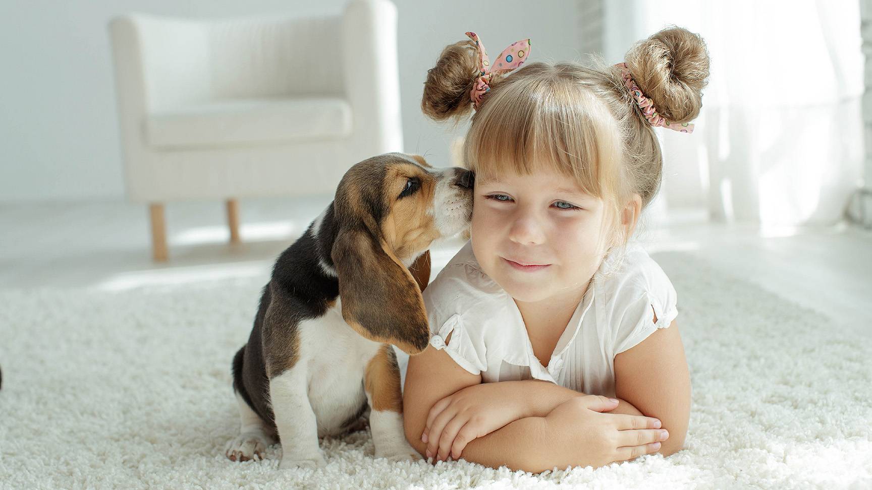 Hund mit Kind