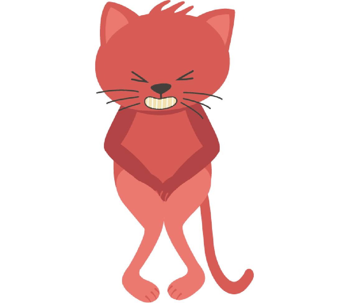 Katze mit Unterleibsschmerzen