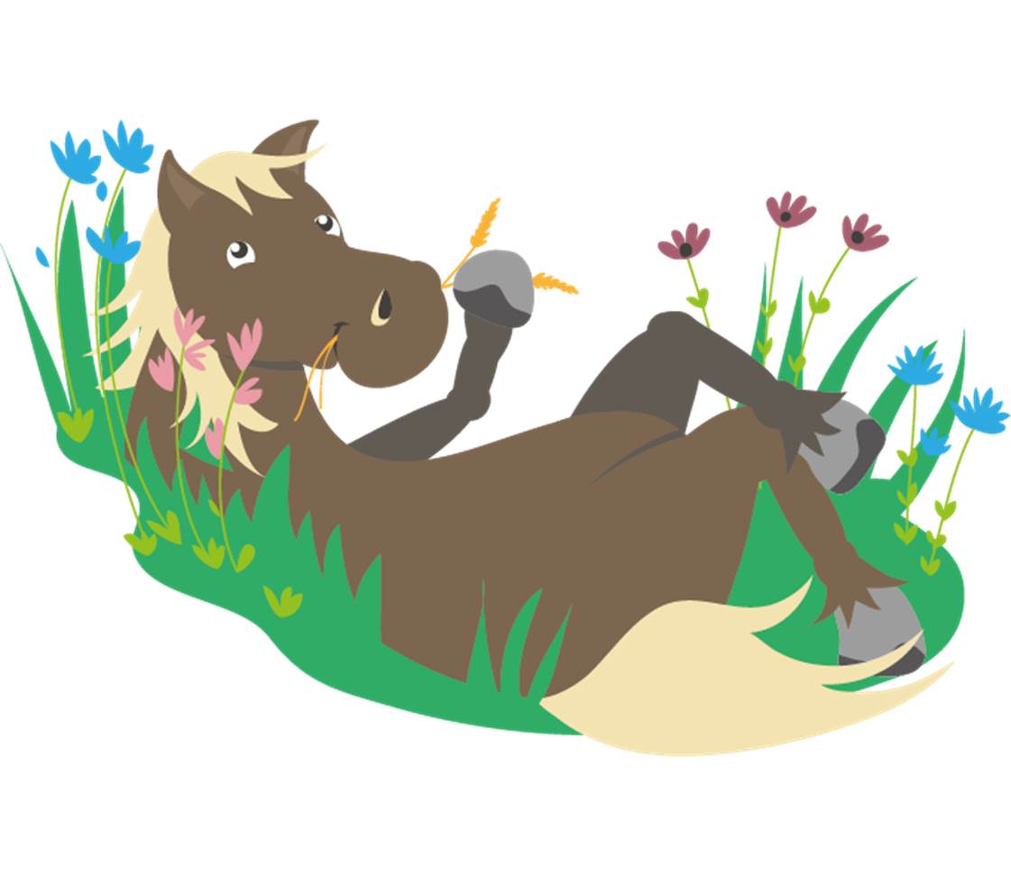 petsXL Sunny lying down pasture