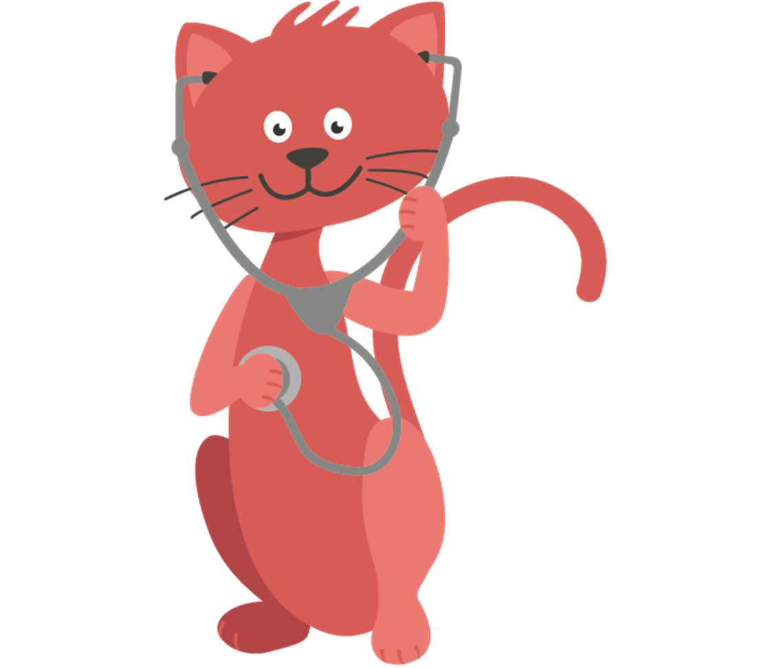 petsXL Minka with stethoscope