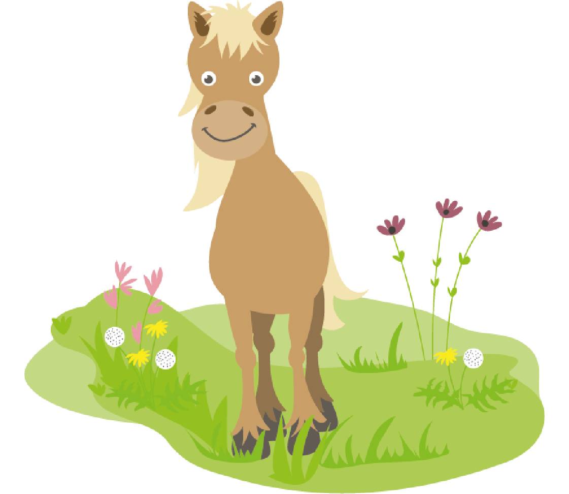 petsXL Sunny als Fohlen