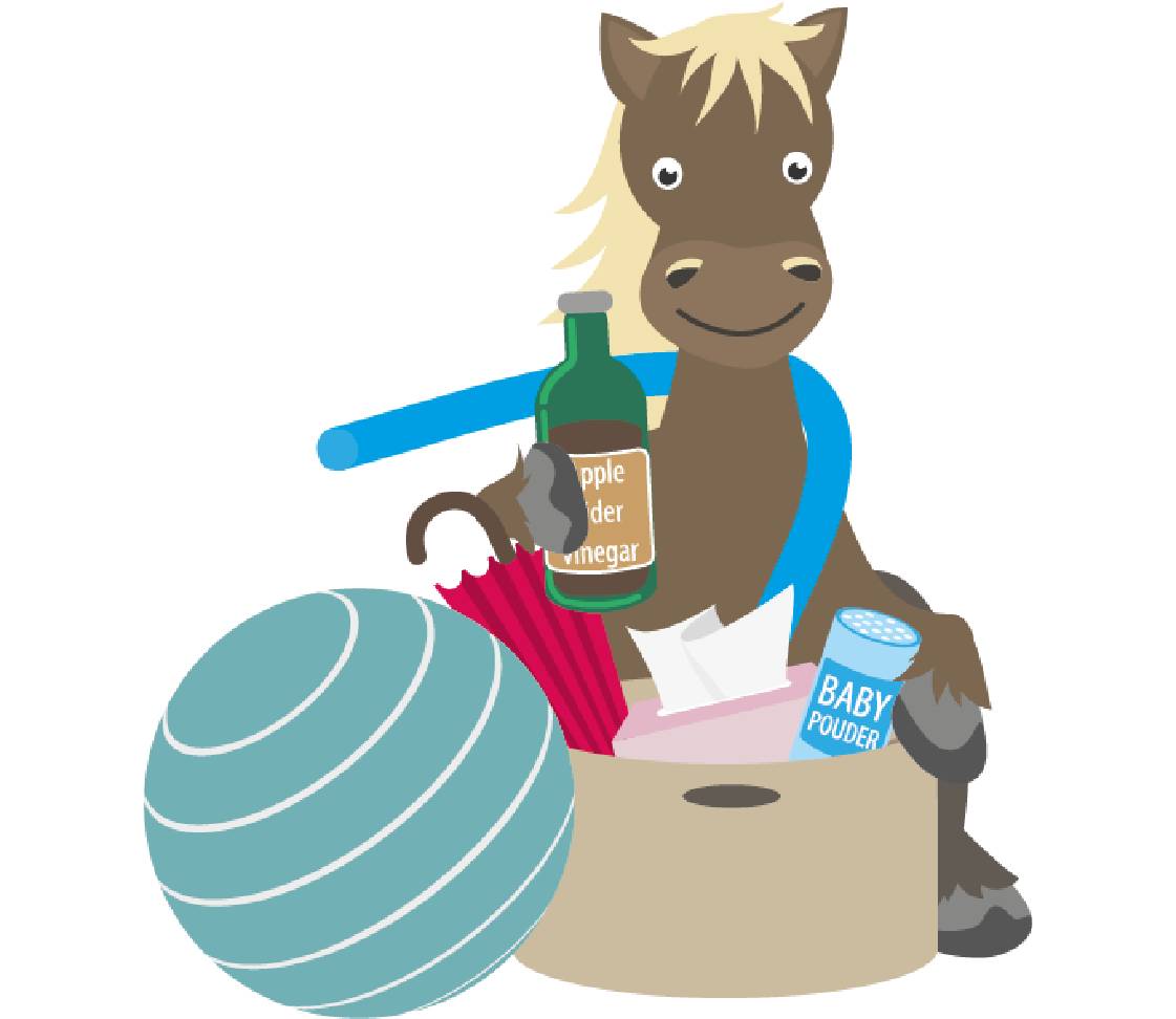 petsXL Sunny with umbrella and ball