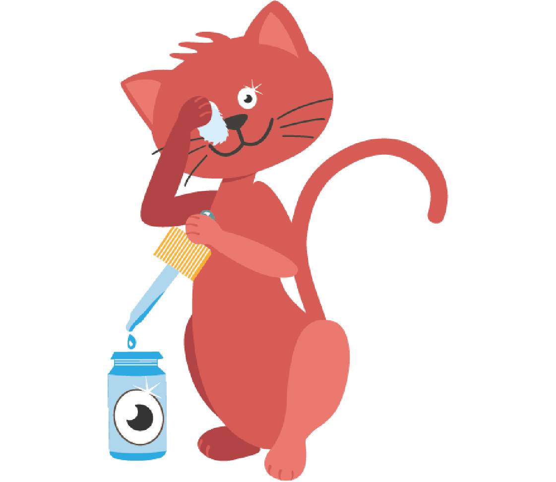 petsXL Minka reinigt Augen