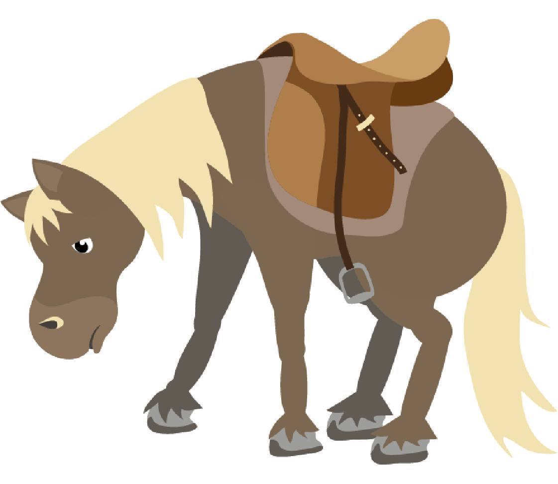 petsXL Sunny bent with saddle