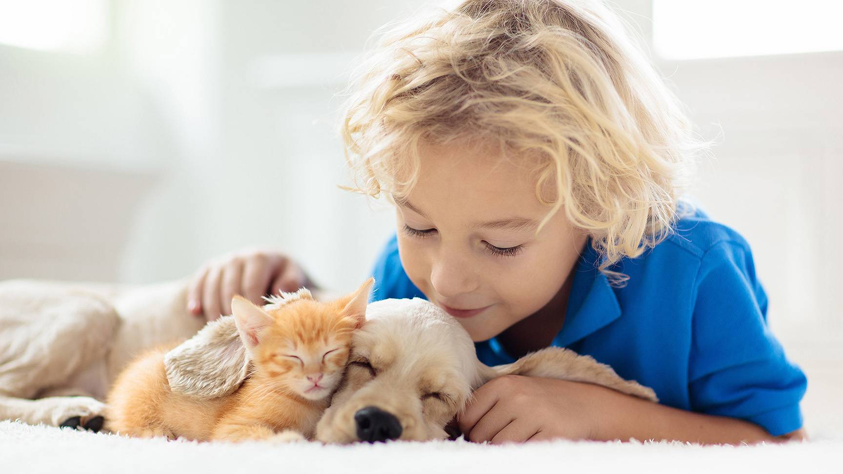 Child with dog and cat