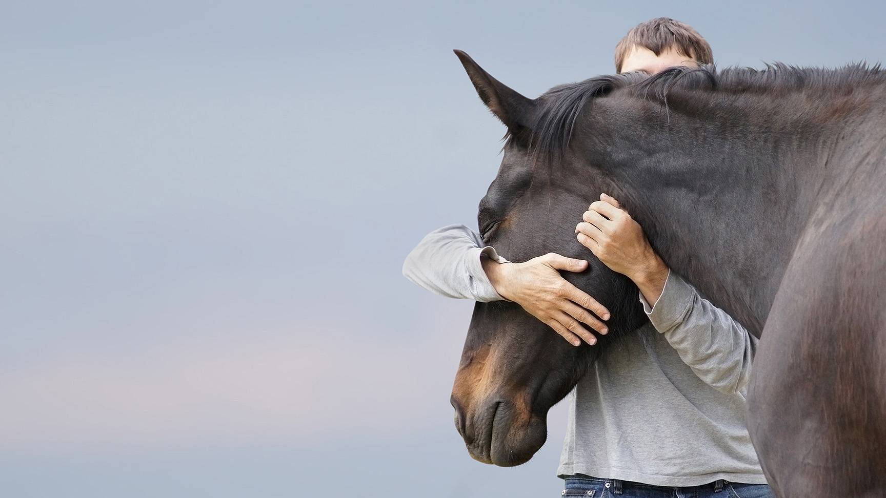 Man hugging horse head