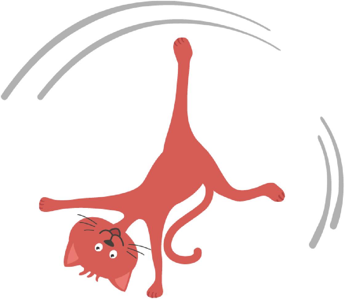 petsXL Minka does a cartwheel