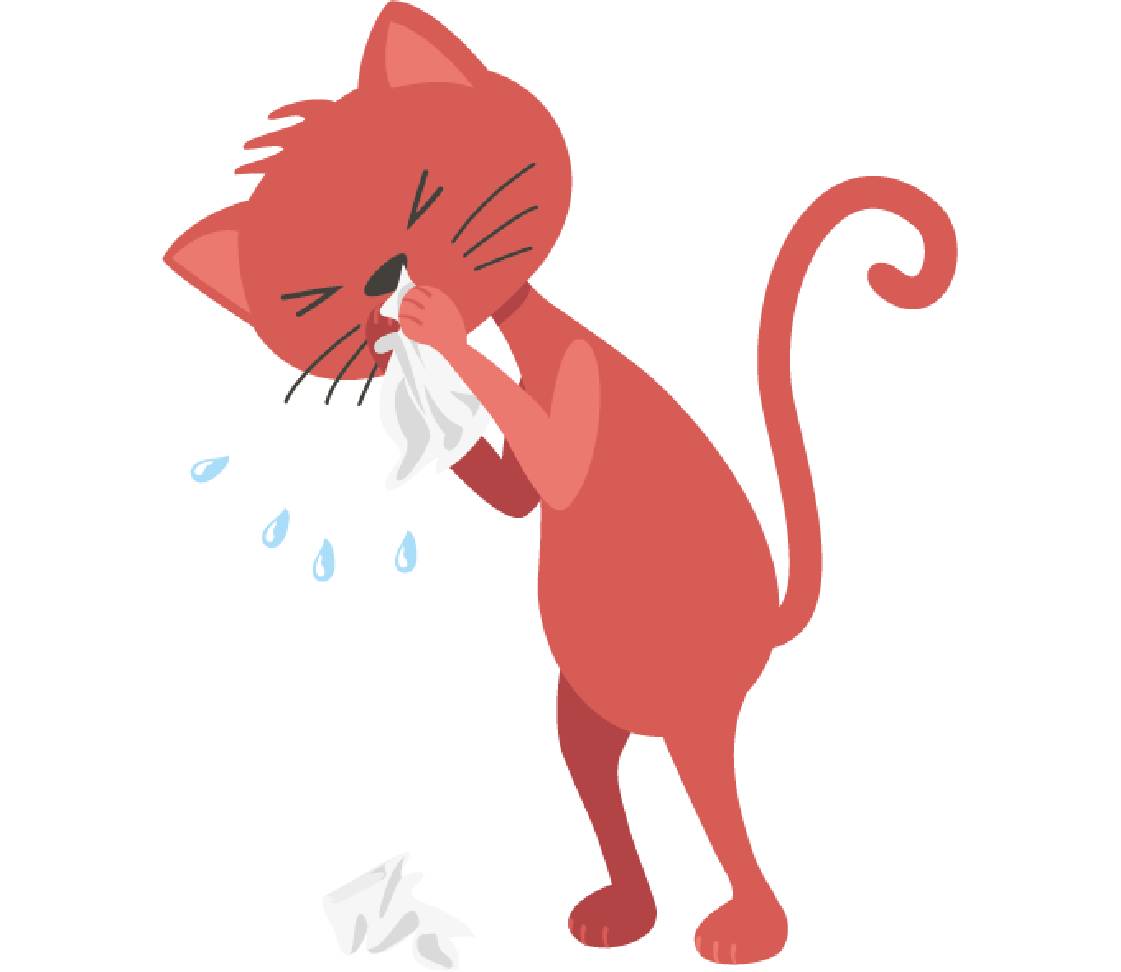 petsXL Minka cleans her nose