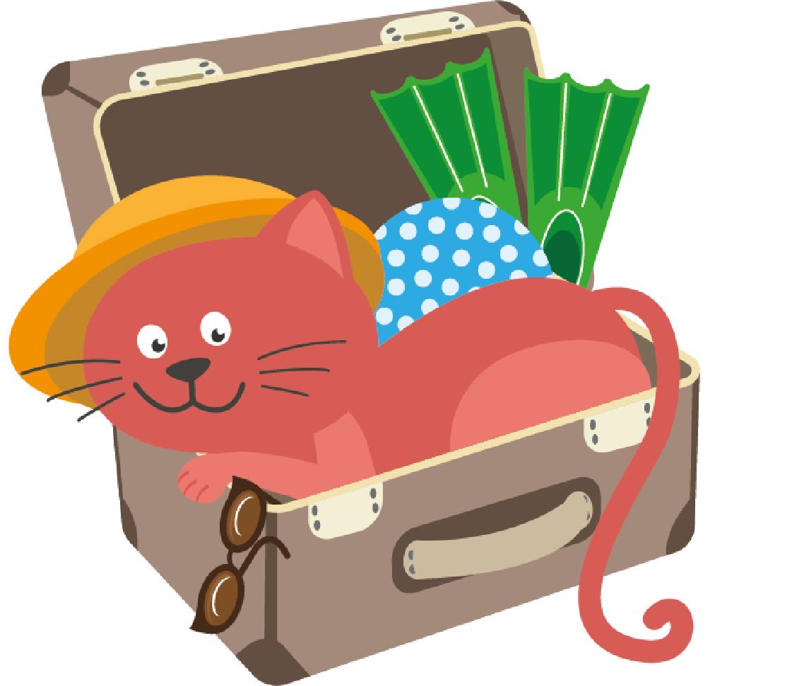 petsXL Minka in a suitcase