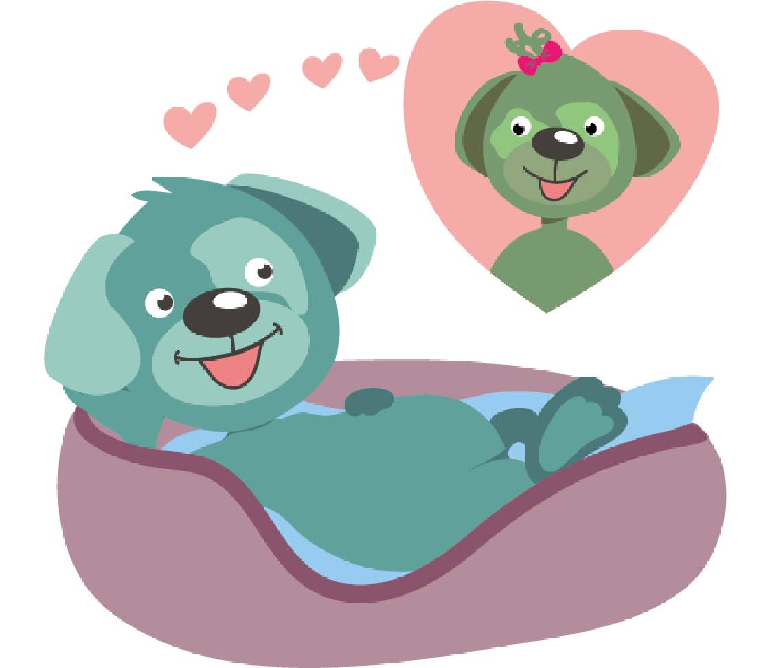 petsXL Oskar ist verliebt