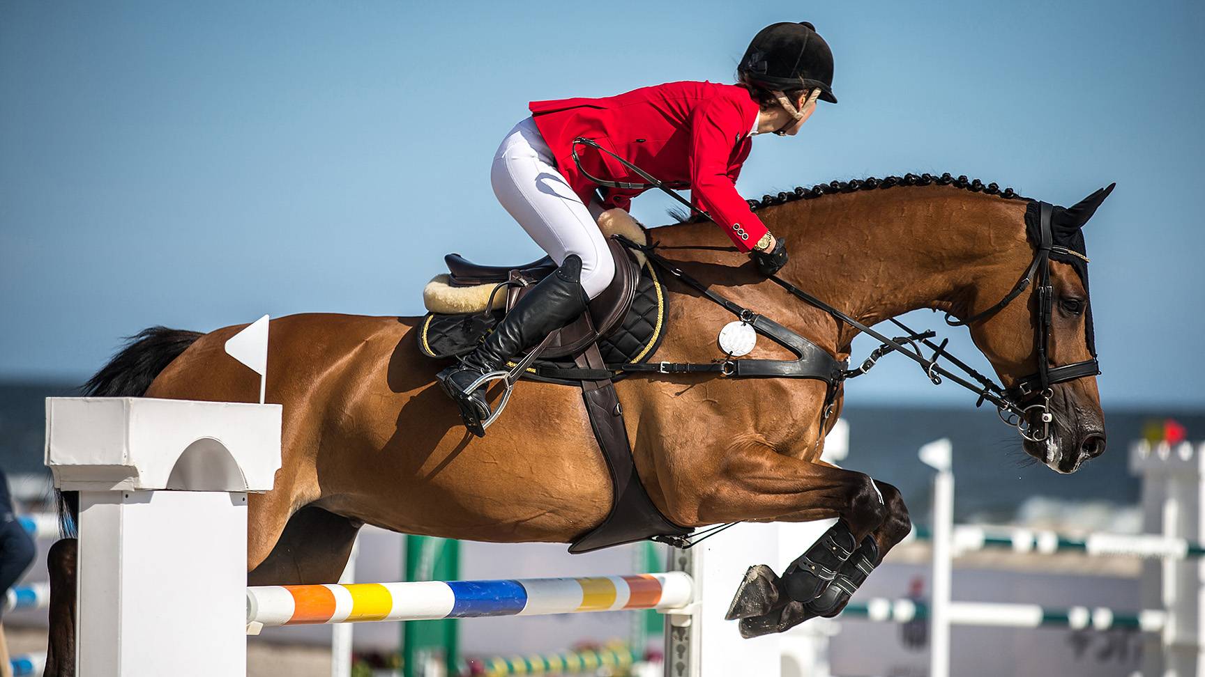 Pferd Turnier Sprung